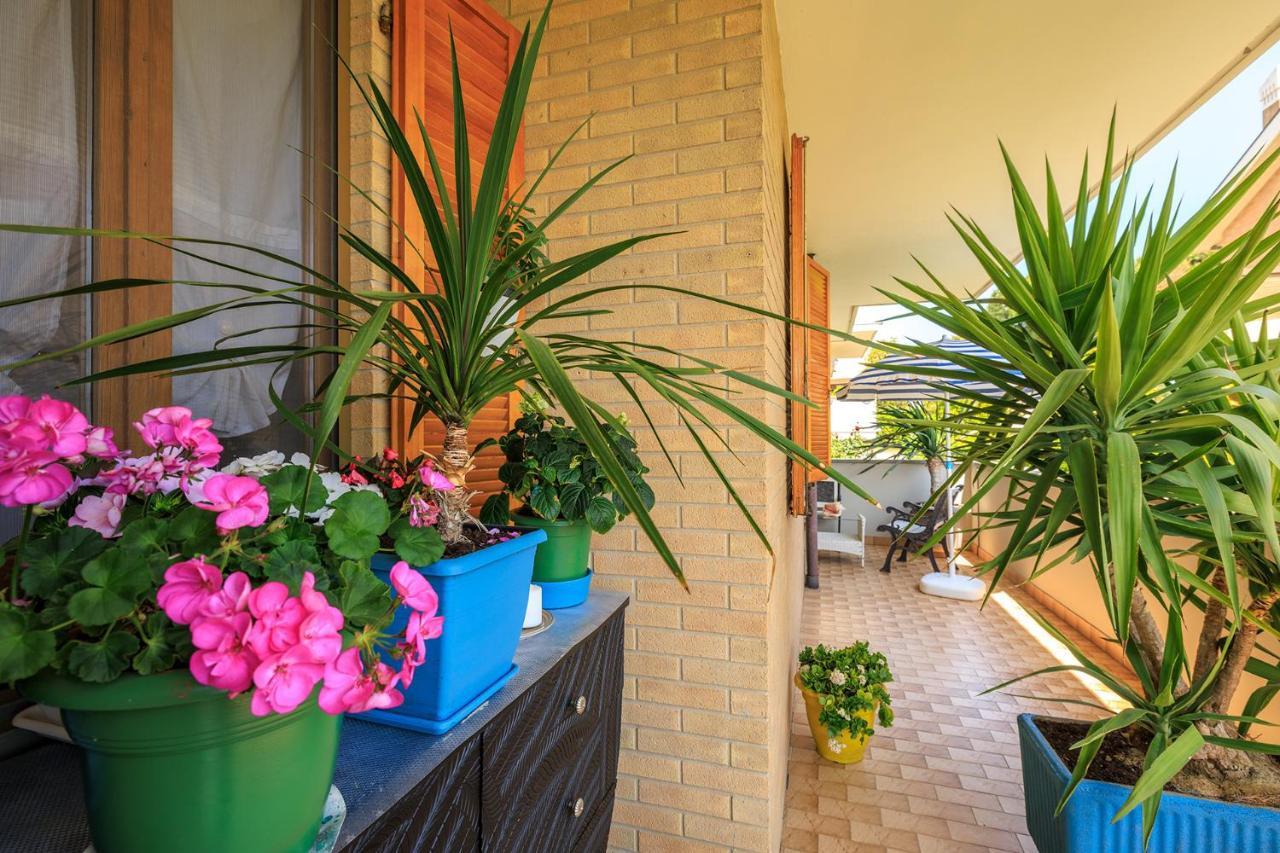 B&B Il Tiglio Porto SantʼElpidio Extérieur photo